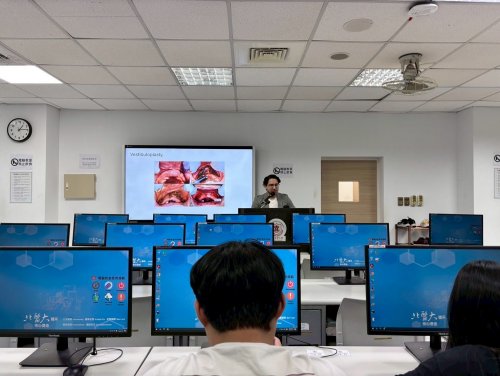 裝飾性圖片